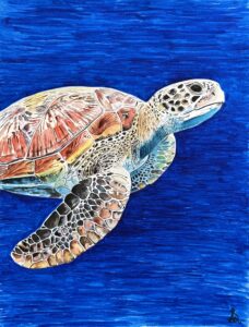 Curious Charms: The Magic of Aquarelle